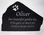 Oliver the golden dog