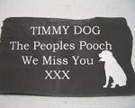 Memorial for Timmy the Peoples Pooch